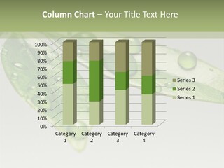 Rain Herb Growth PowerPoint Template