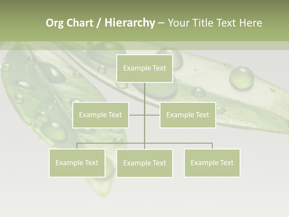 Rain Herb Growth PowerPoint Template