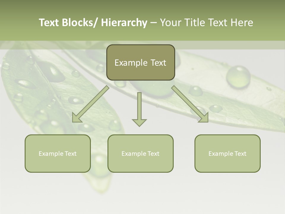Rain Herb Growth PowerPoint Template