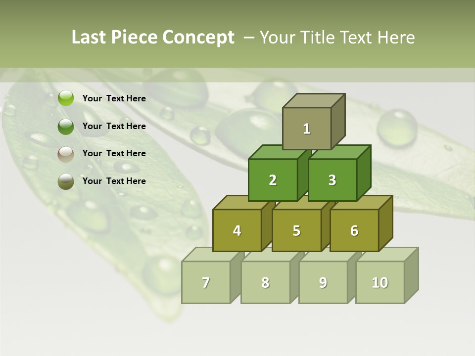 Rain Herb Growth PowerPoint Template