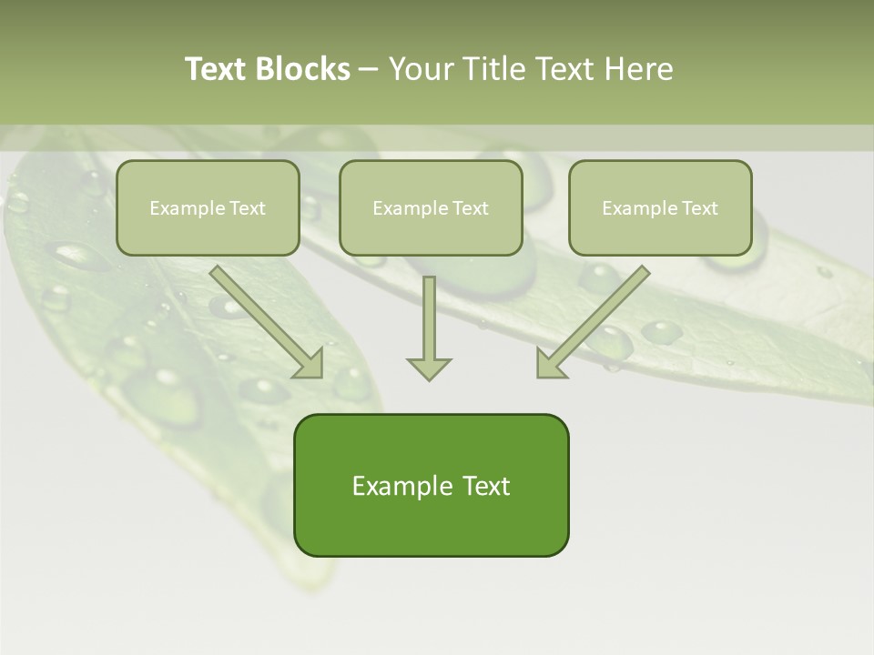 Rain Herb Growth PowerPoint Template