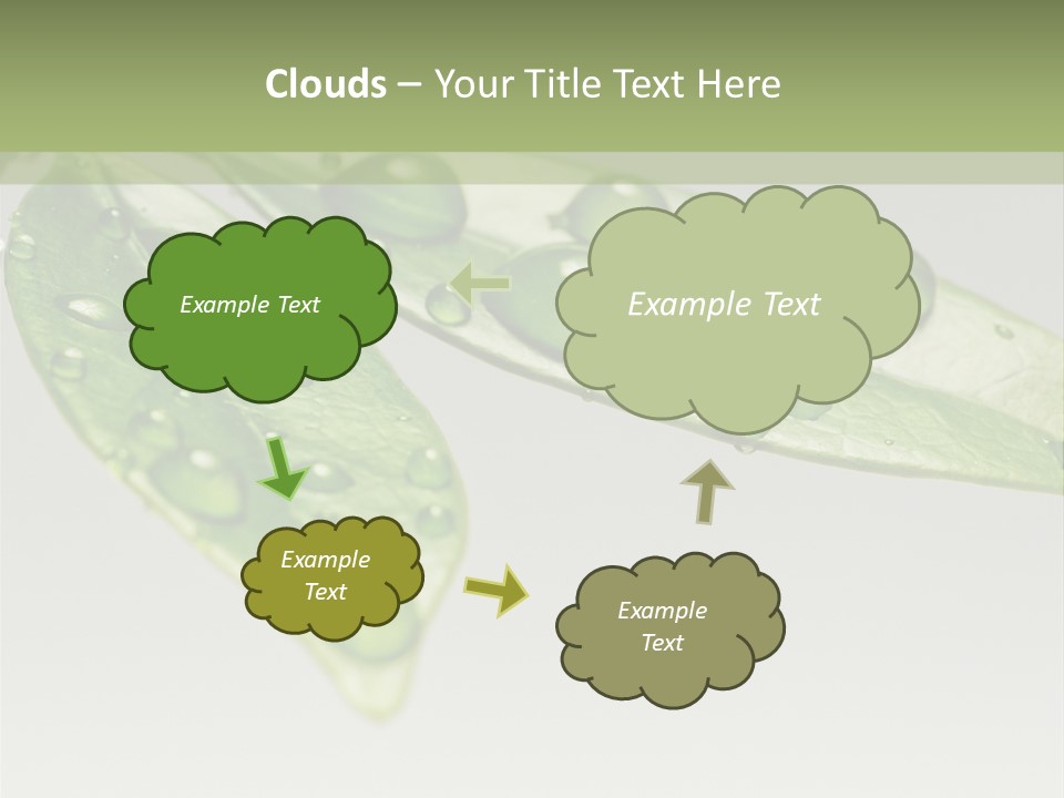 Rain Herb Growth PowerPoint Template