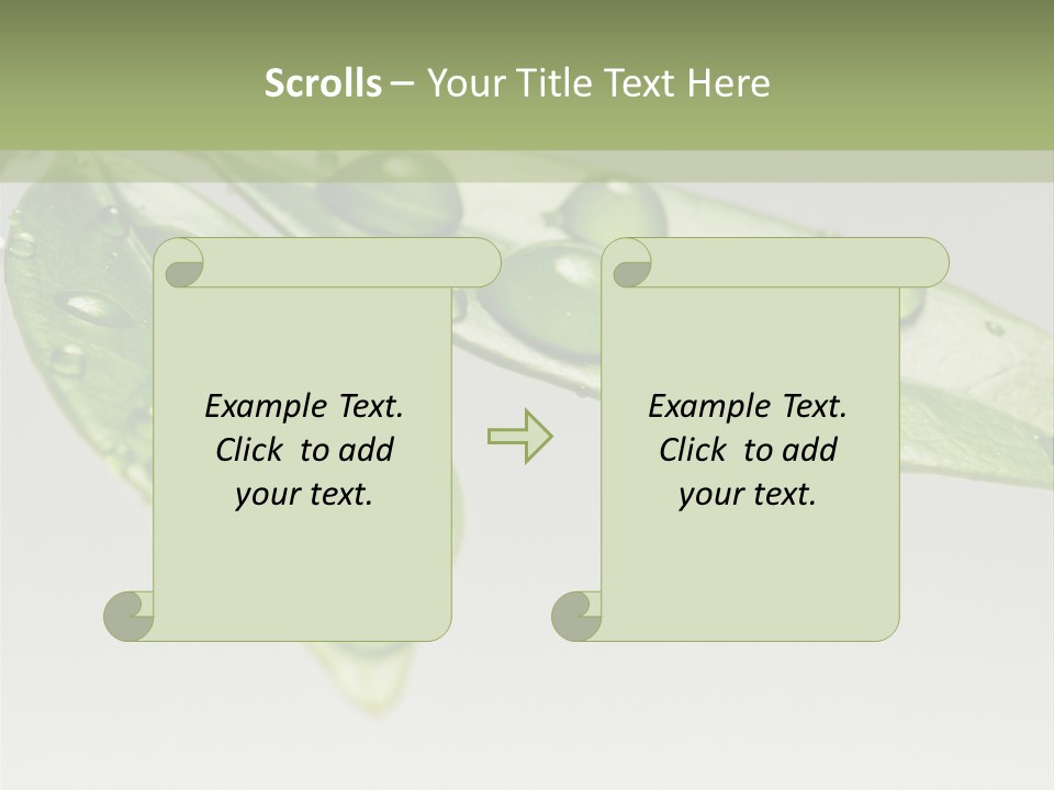 Rain Herb Growth PowerPoint Template