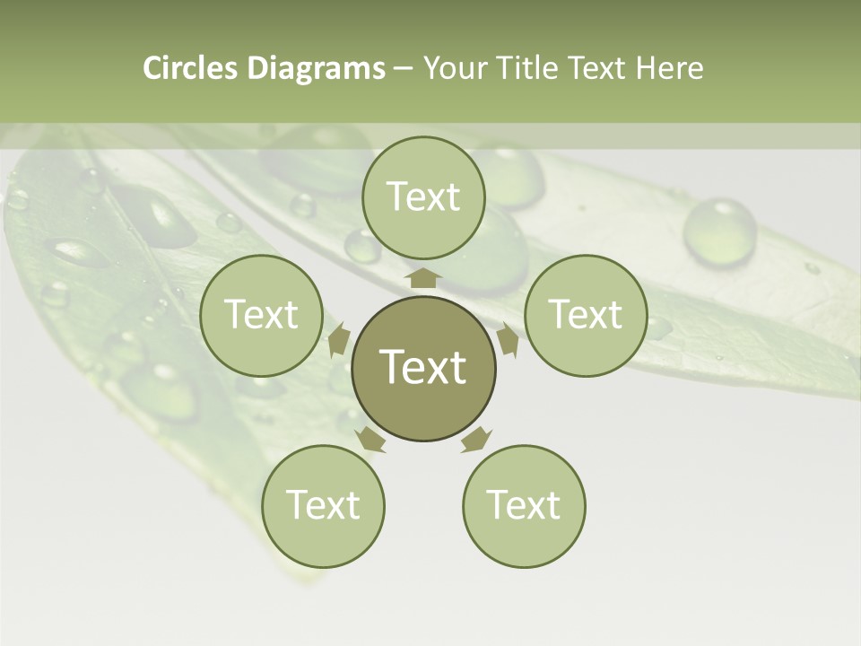 Rain Herb Growth PowerPoint Template