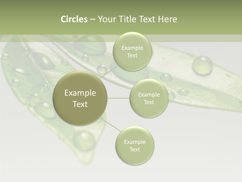 Rain Herb Growth PowerPoint Template