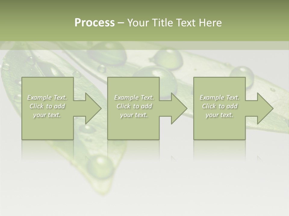Rain Herb Growth PowerPoint Template
