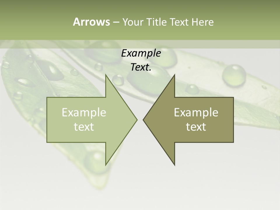 Rain Herb Growth PowerPoint Template