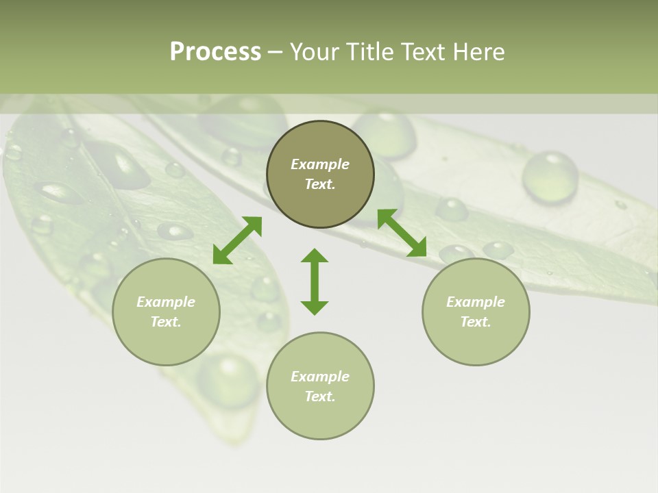 Rain Herb Growth PowerPoint Template