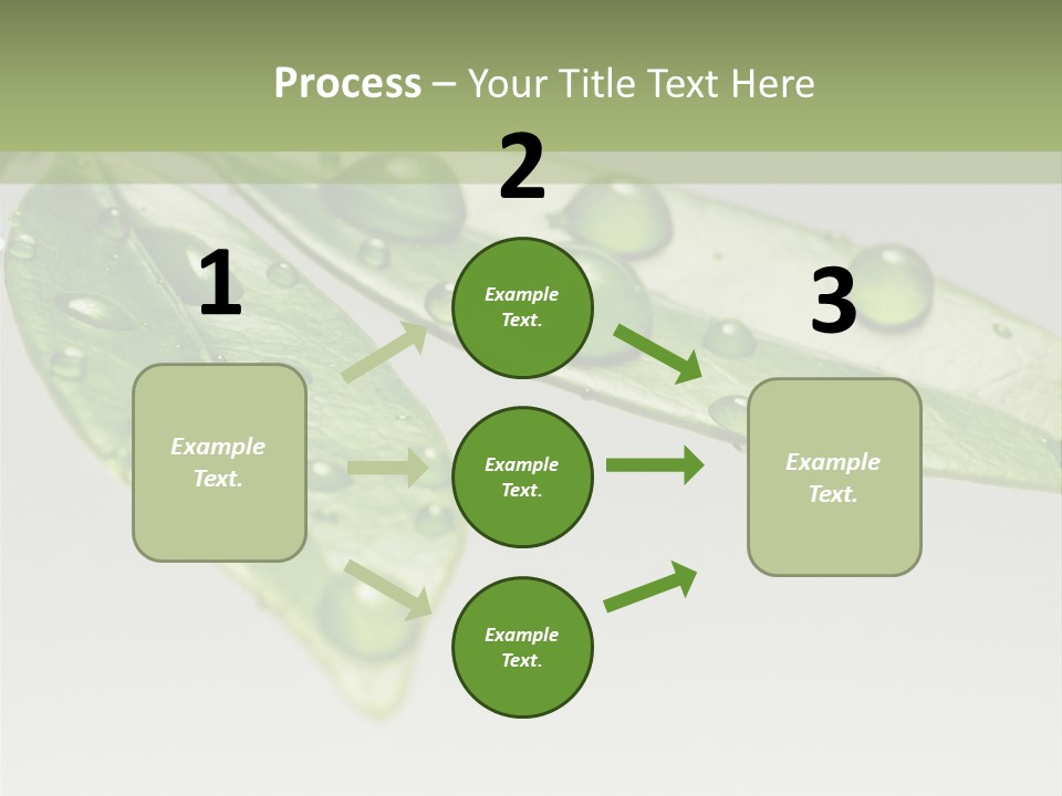 Rain Herb Growth PowerPoint Template