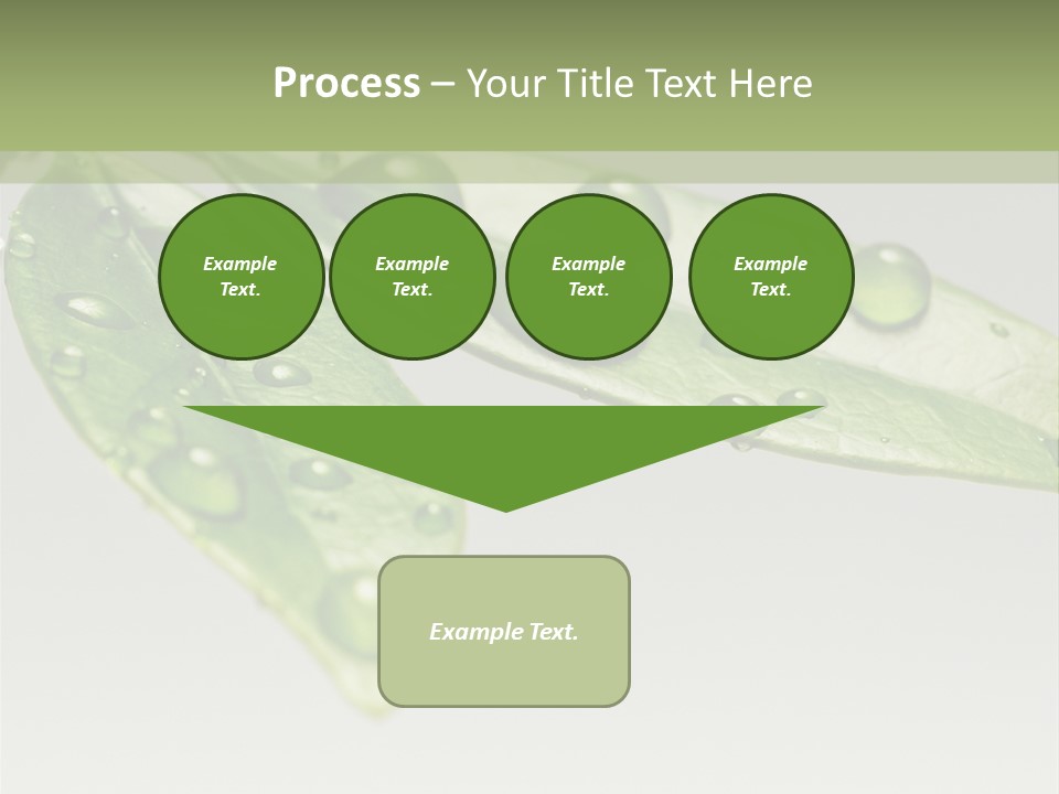 Rain Herb Growth PowerPoint Template