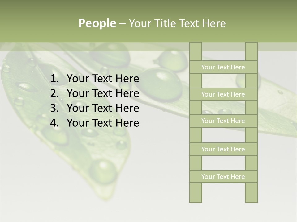 Rain Herb Growth PowerPoint Template
