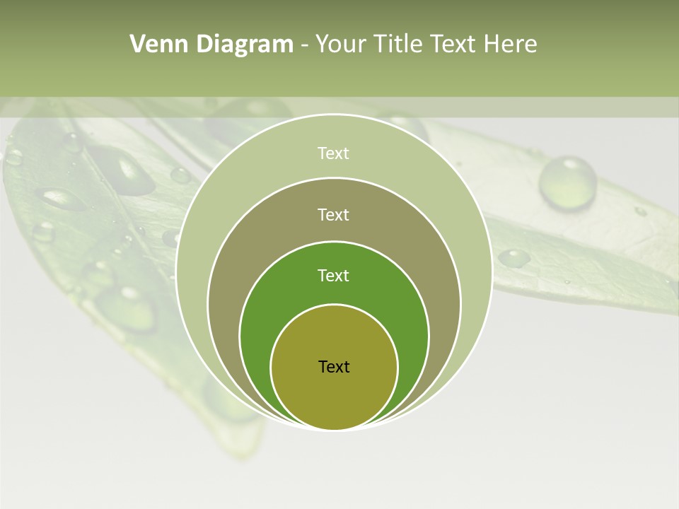 Rain Herb Growth PowerPoint Template