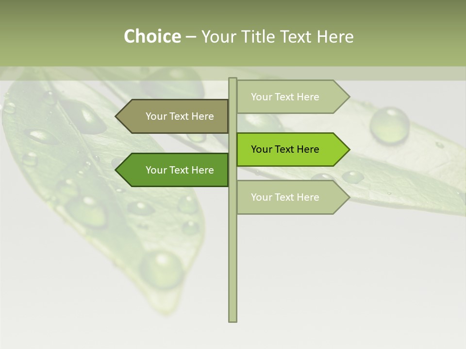 Rain Herb Growth PowerPoint Template