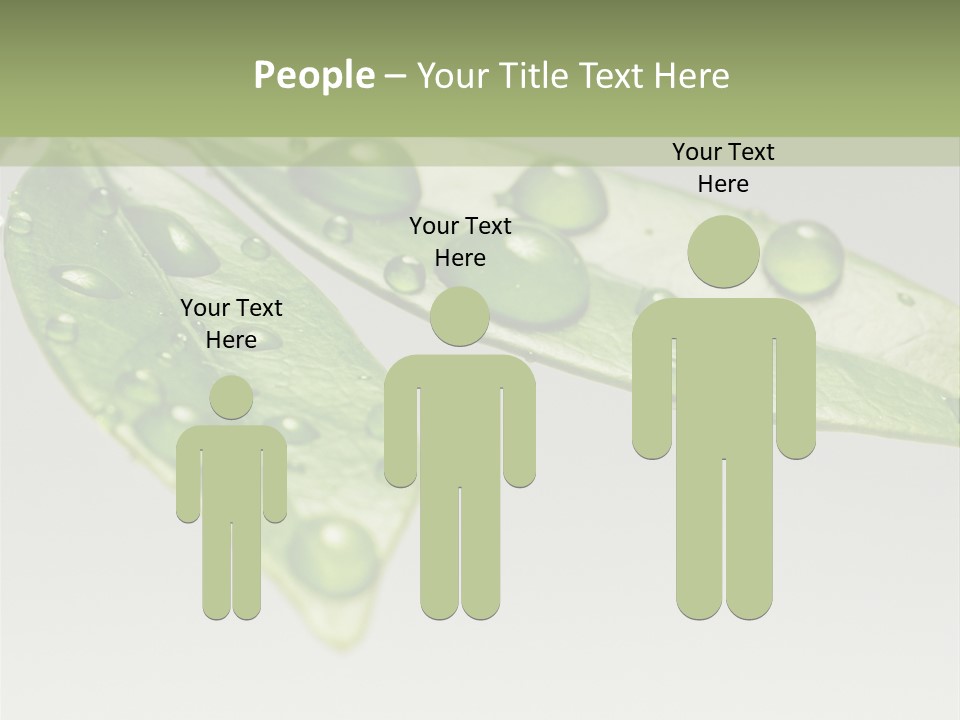 Rain Herb Growth PowerPoint Template