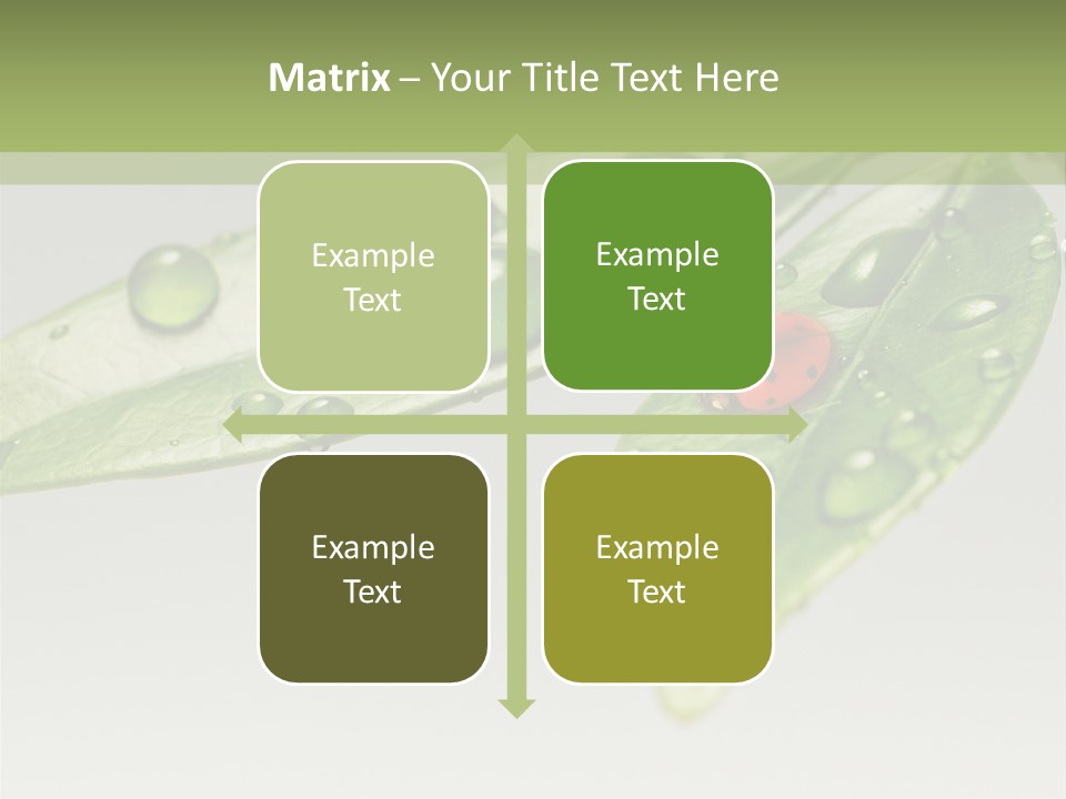 Drops Meadow Idyllic PowerPoint Template