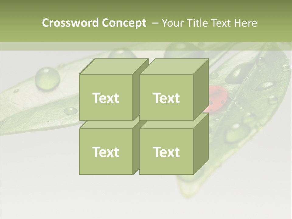 Drops Meadow Idyllic PowerPoint Template