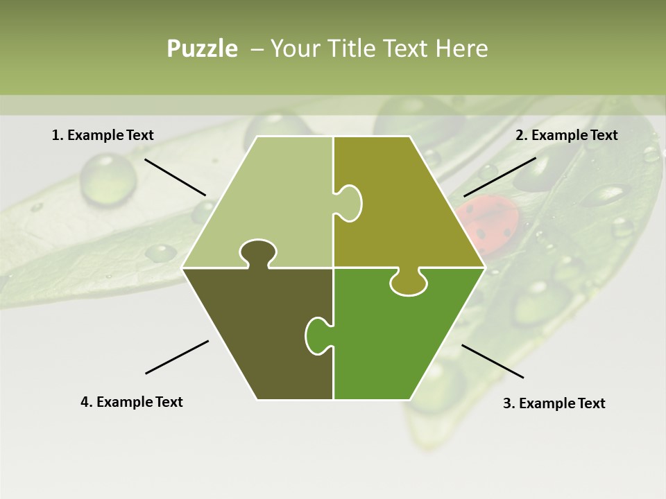 Drops Meadow Idyllic PowerPoint Template