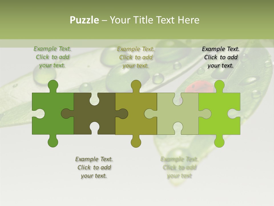 Drops Meadow Idyllic PowerPoint Template