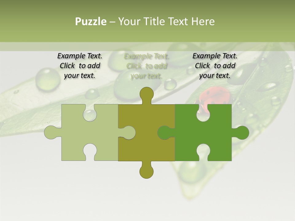 Drops Meadow Idyllic PowerPoint Template