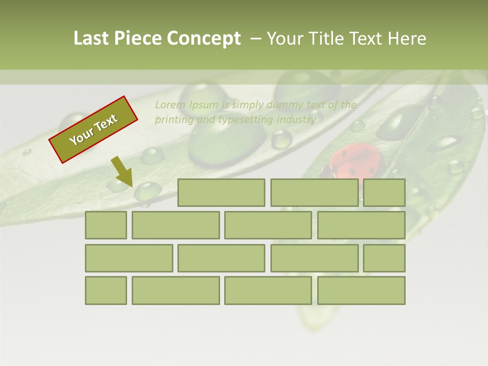 Drops Meadow Idyllic PowerPoint Template