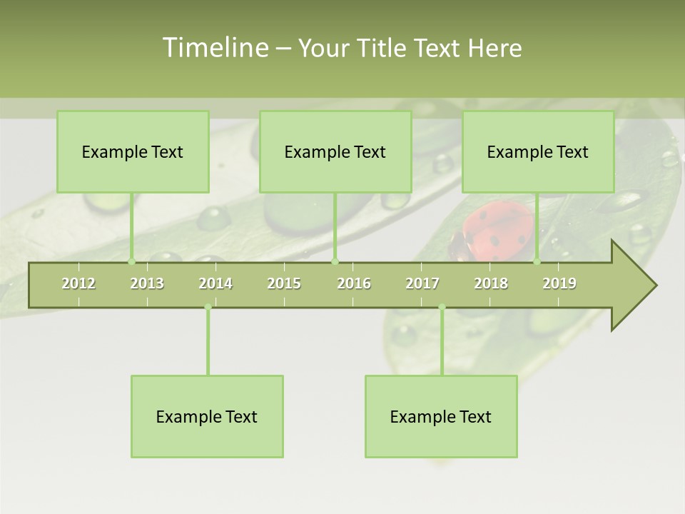 Drops Meadow Idyllic PowerPoint Template