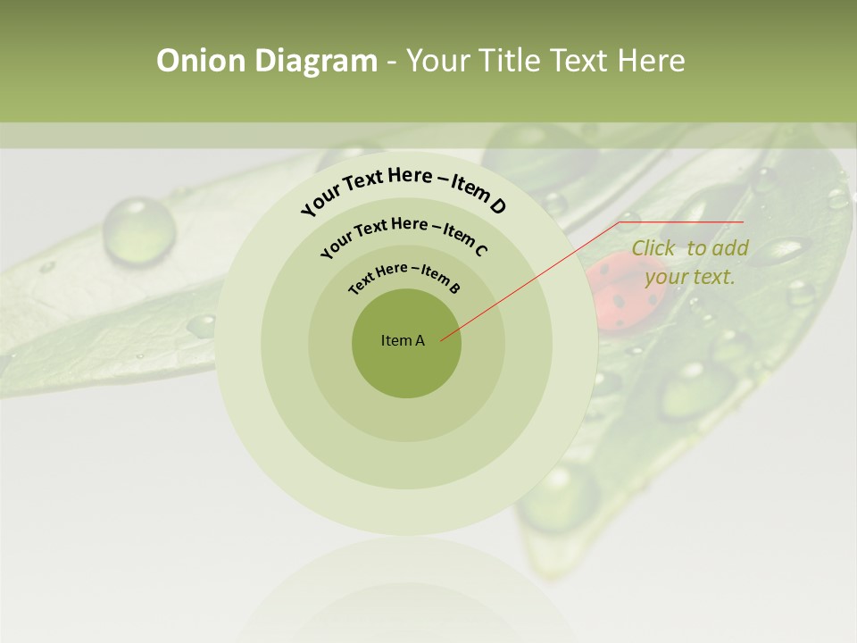 Drops Meadow Idyllic PowerPoint Template