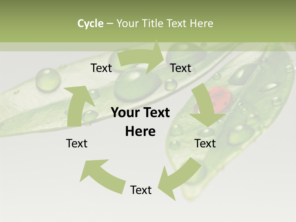 Drops Meadow Idyllic PowerPoint Template