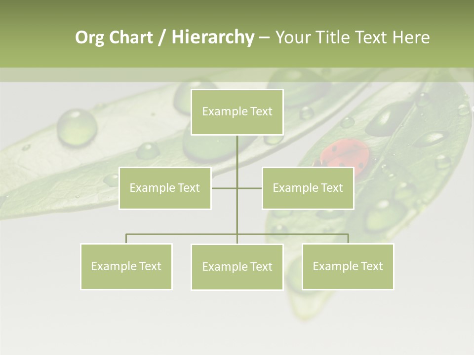 Drops Meadow Idyllic PowerPoint Template