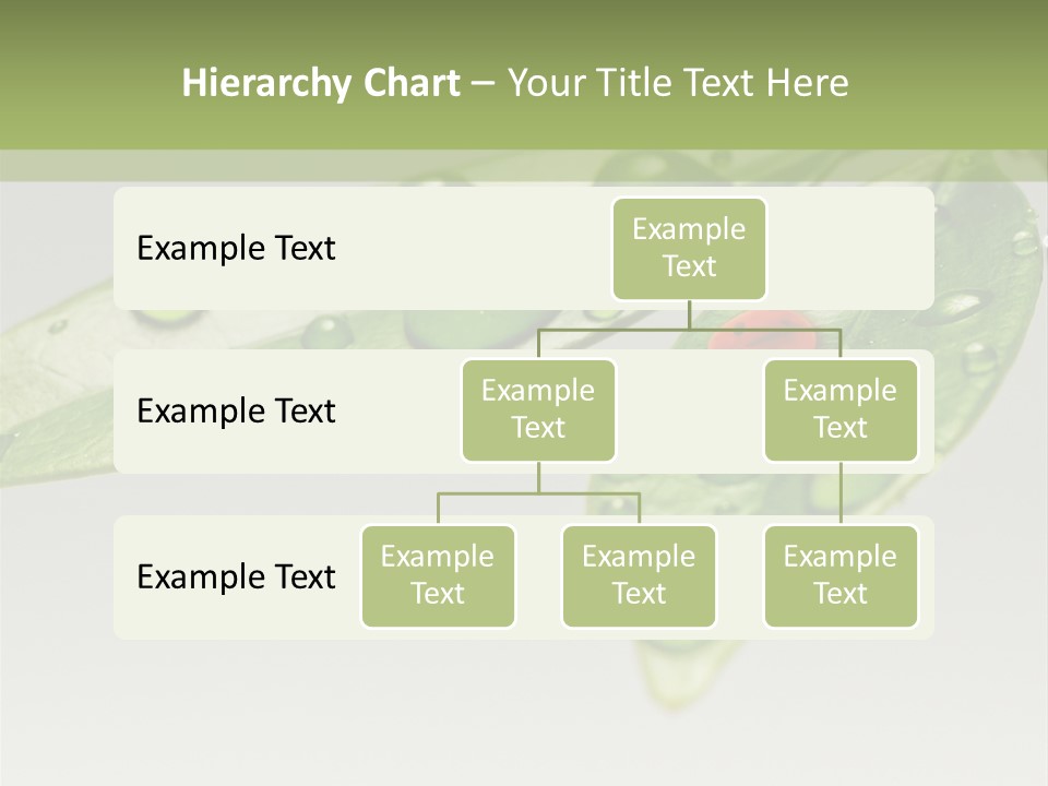 Drops Meadow Idyllic PowerPoint Template