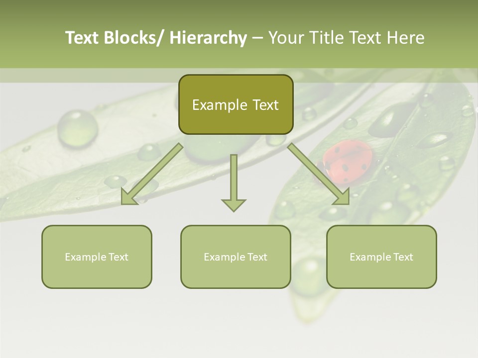 Drops Meadow Idyllic PowerPoint Template