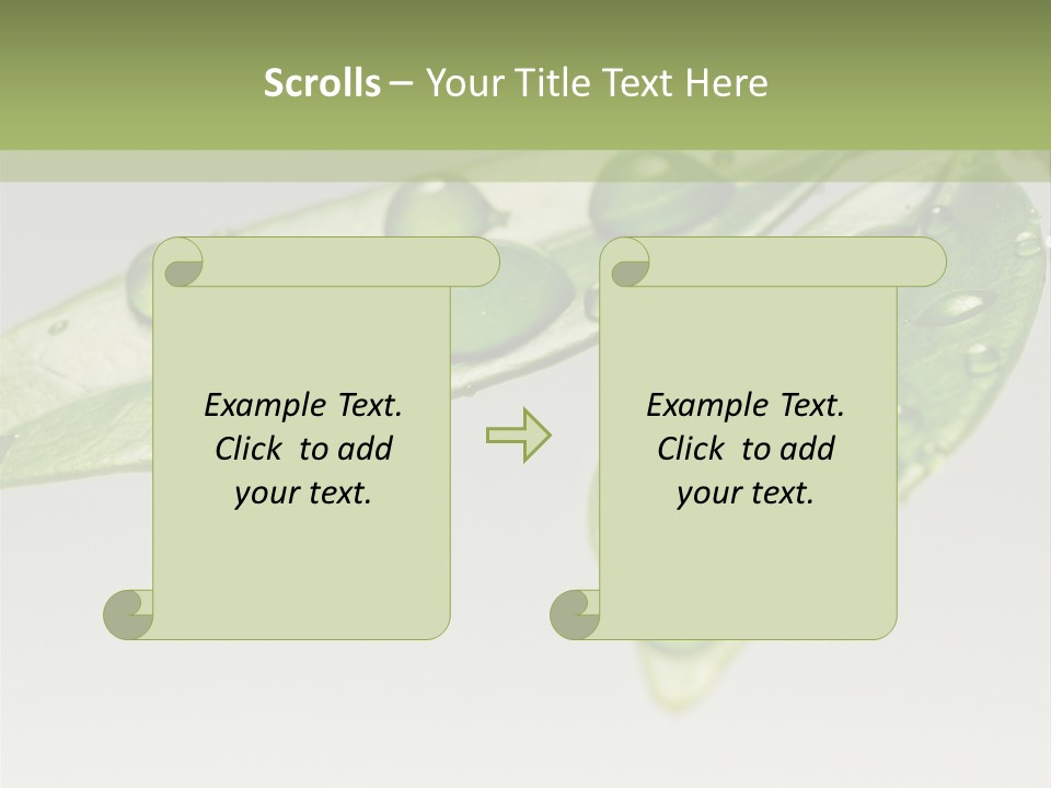 Drops Meadow Idyllic PowerPoint Template