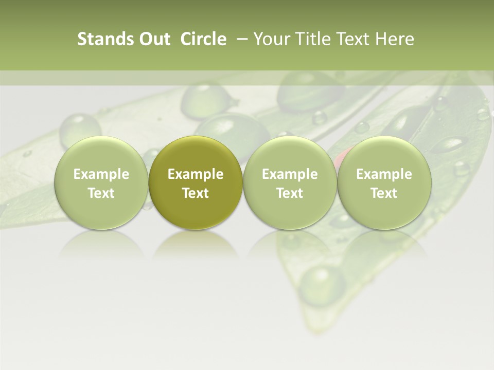 Drops Meadow Idyllic PowerPoint Template