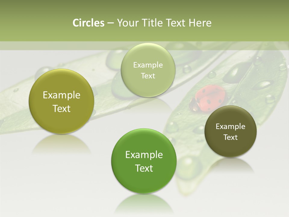 Drops Meadow Idyllic PowerPoint Template