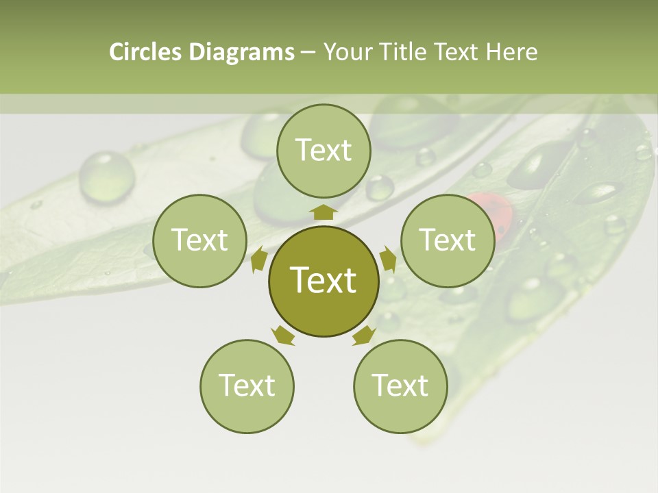 Drops Meadow Idyllic PowerPoint Template