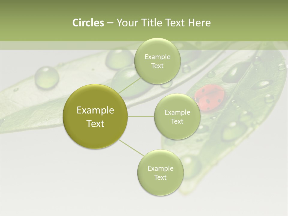 Drops Meadow Idyllic PowerPoint Template