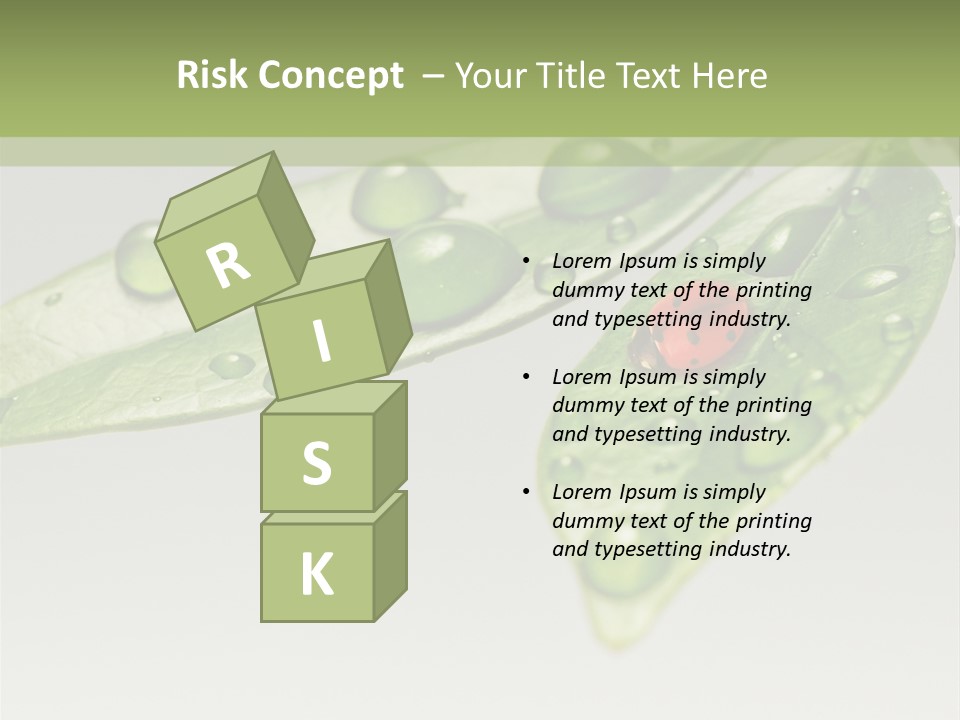 Drops Meadow Idyllic PowerPoint Template