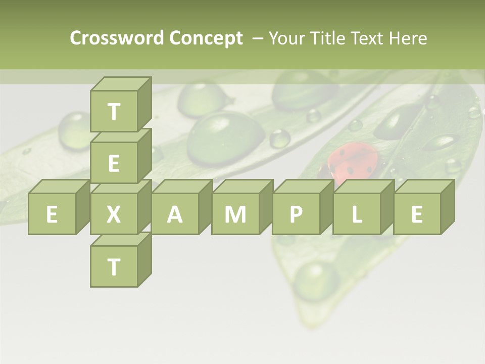 Drops Meadow Idyllic PowerPoint Template