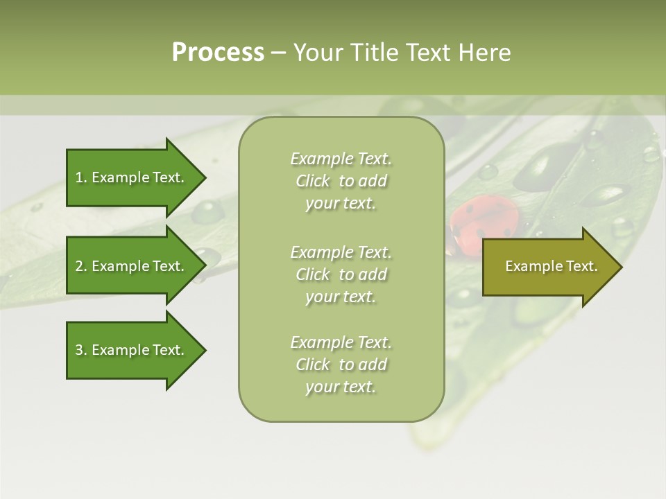 Drops Meadow Idyllic PowerPoint Template