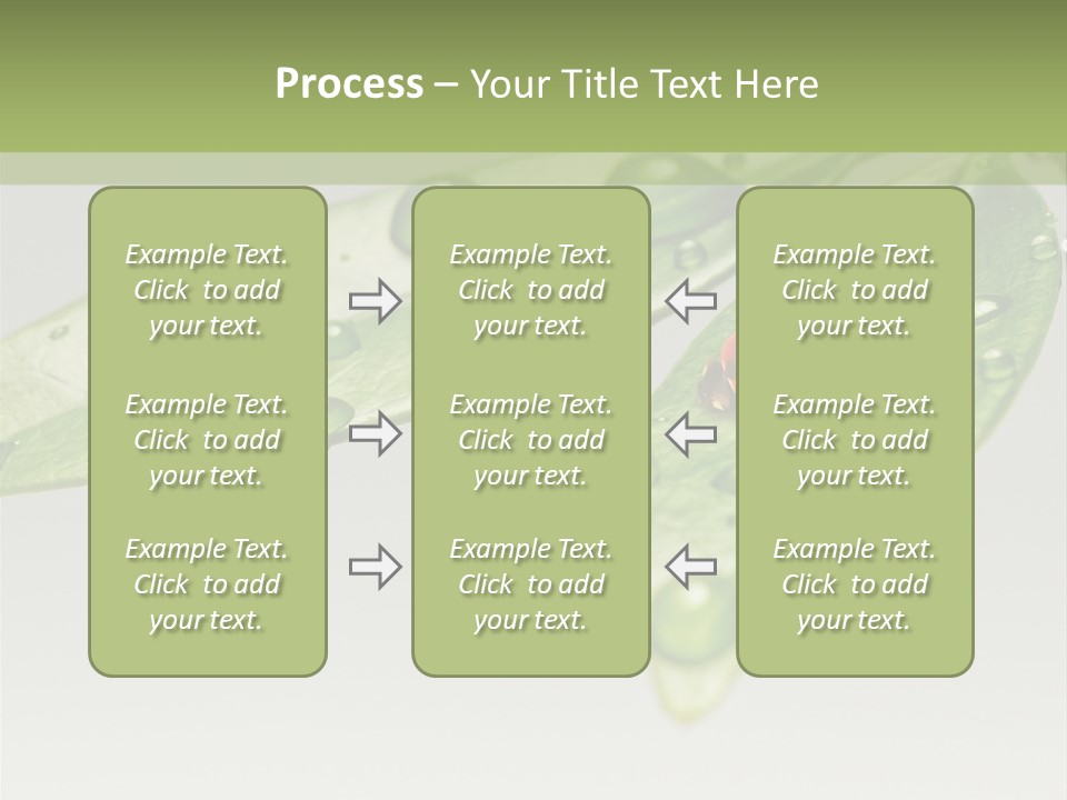 Drops Meadow Idyllic PowerPoint Template