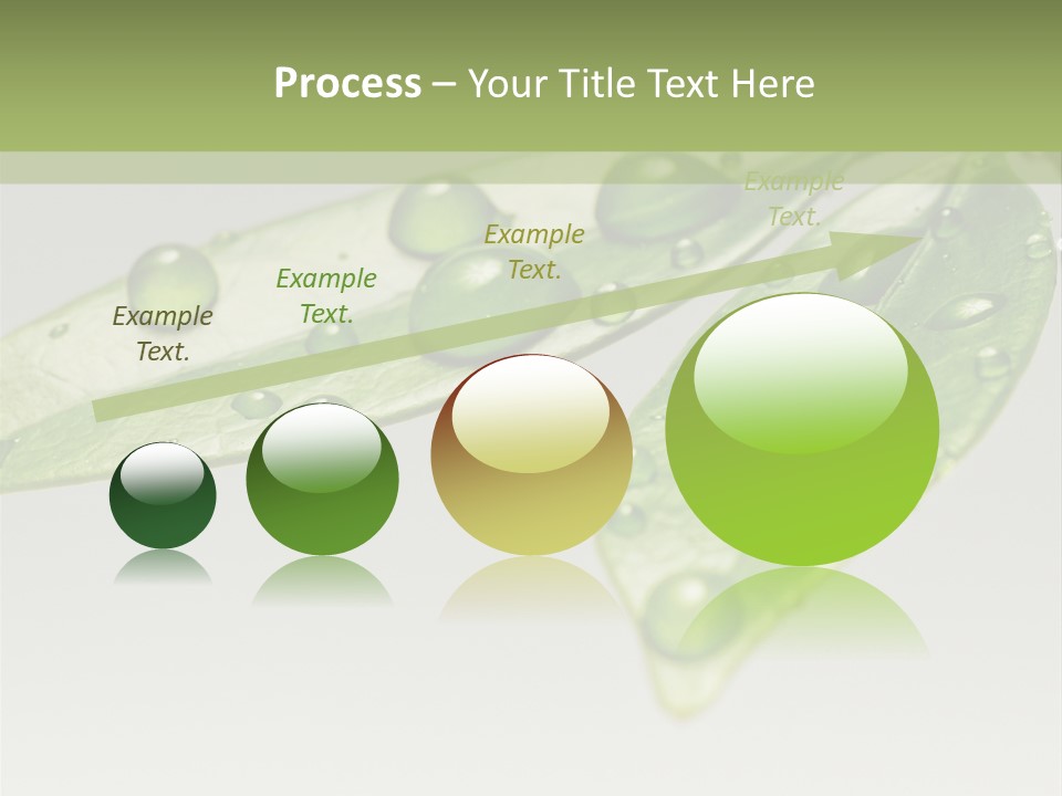 Drops Meadow Idyllic PowerPoint Template