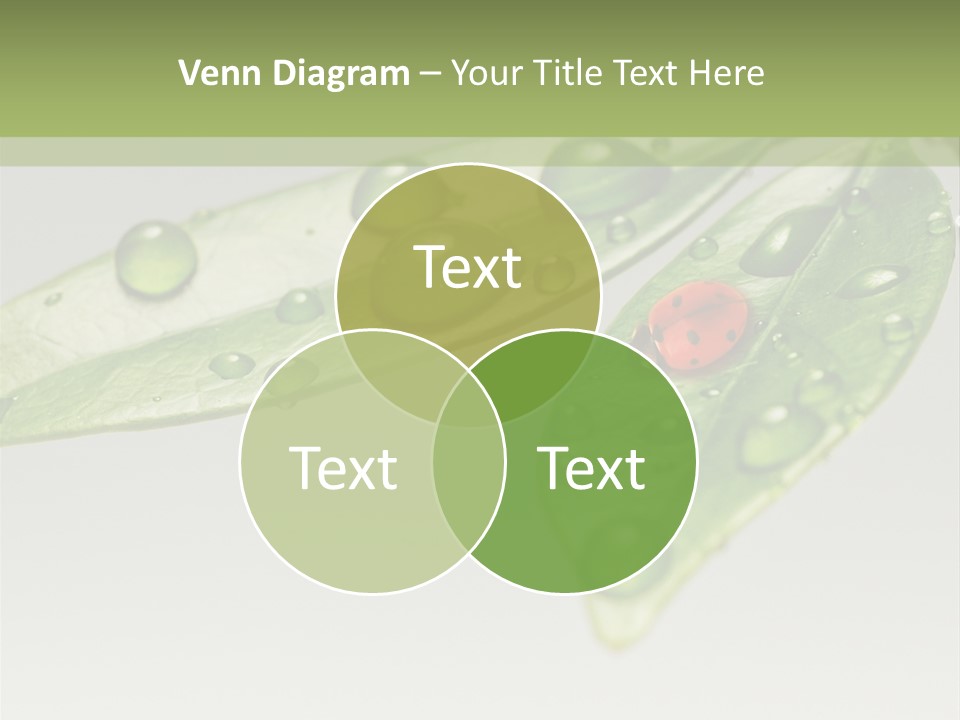 Drops Meadow Idyllic PowerPoint Template