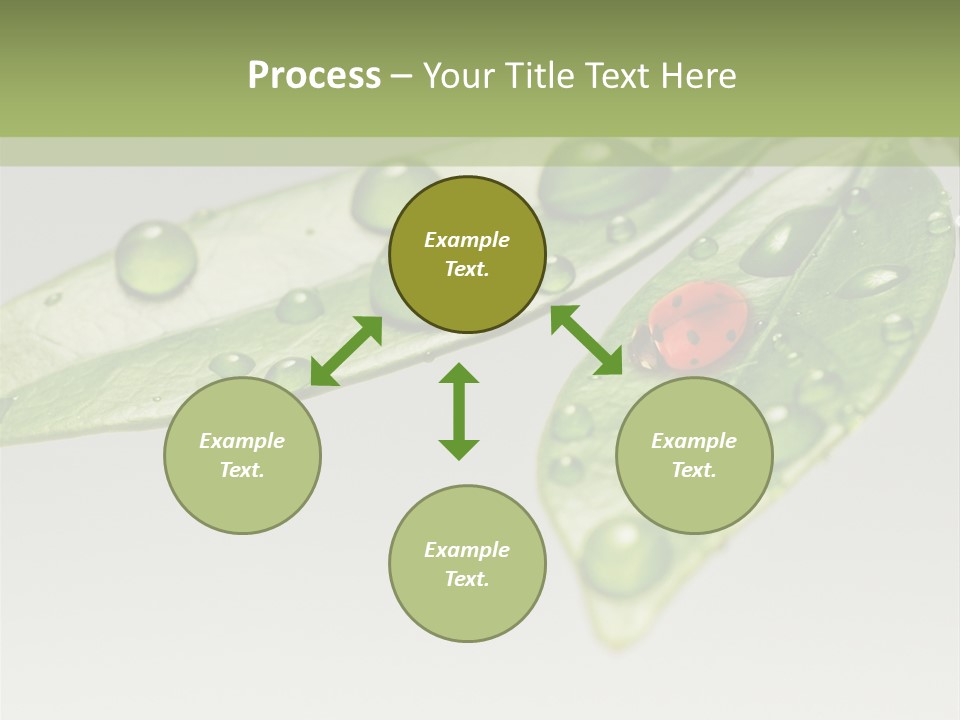 Drops Meadow Idyllic PowerPoint Template