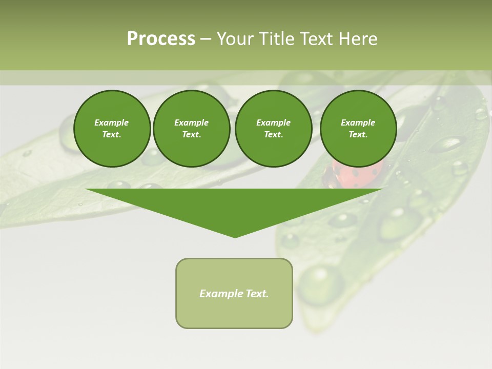 Drops Meadow Idyllic PowerPoint Template