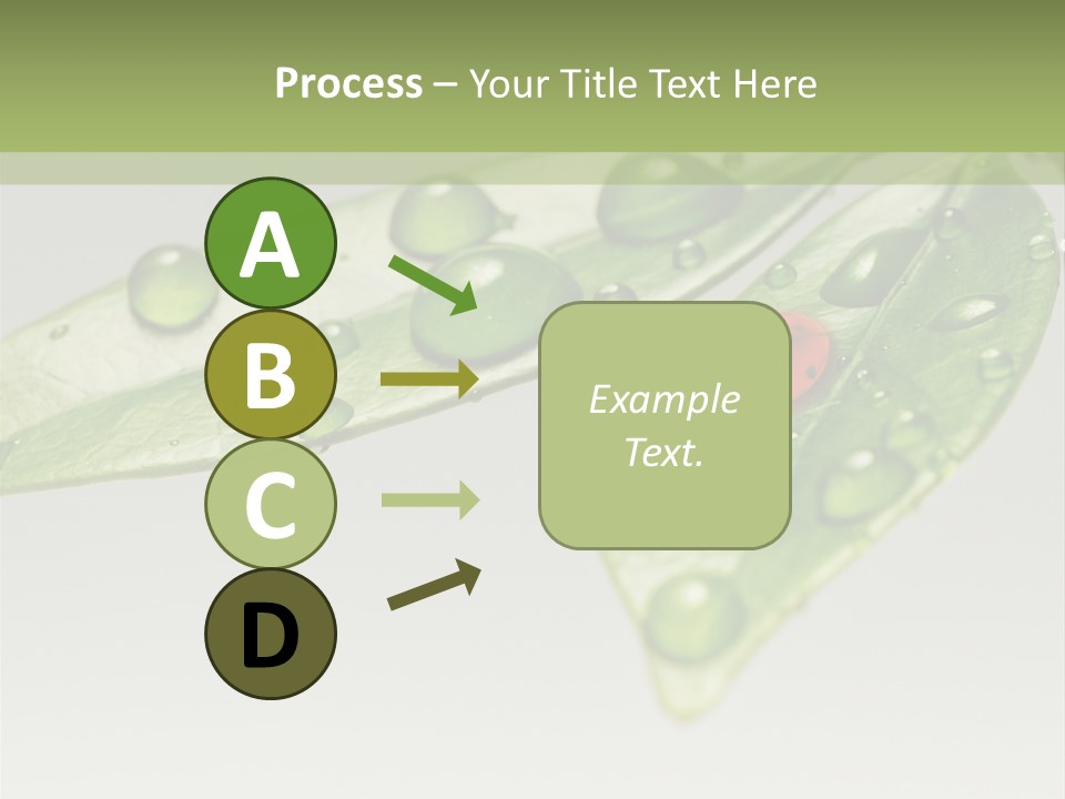 Drops Meadow Idyllic PowerPoint Template