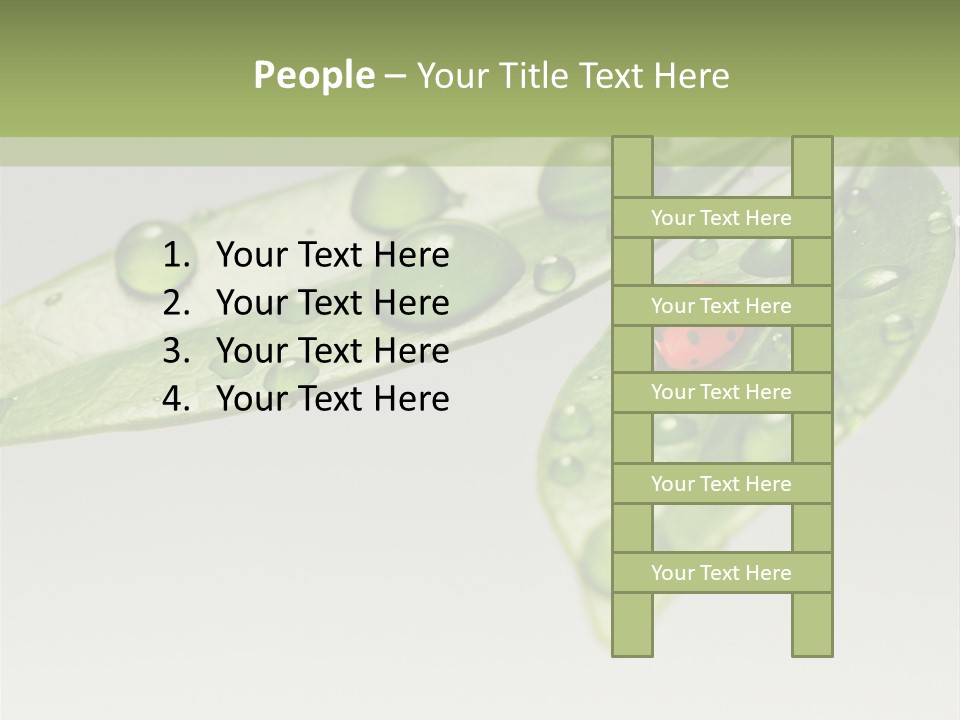 Drops Meadow Idyllic PowerPoint Template