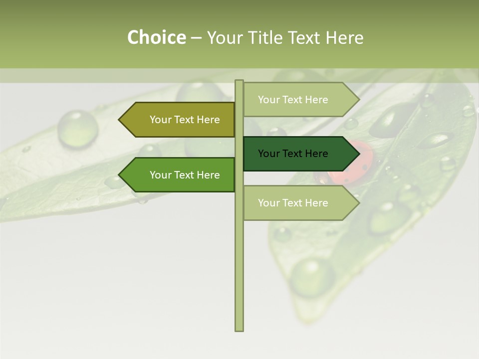Drops Meadow Idyllic PowerPoint Template