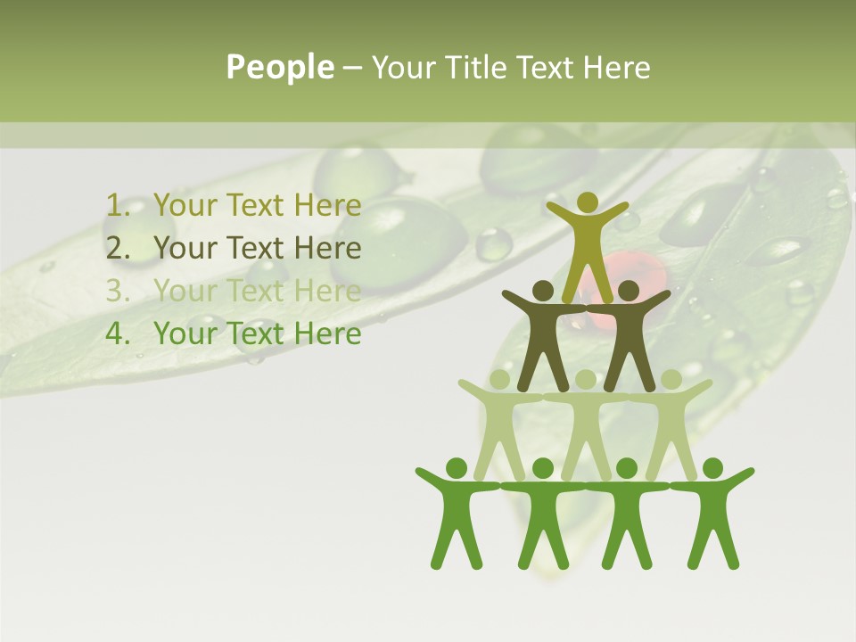 Drops Meadow Idyllic PowerPoint Template