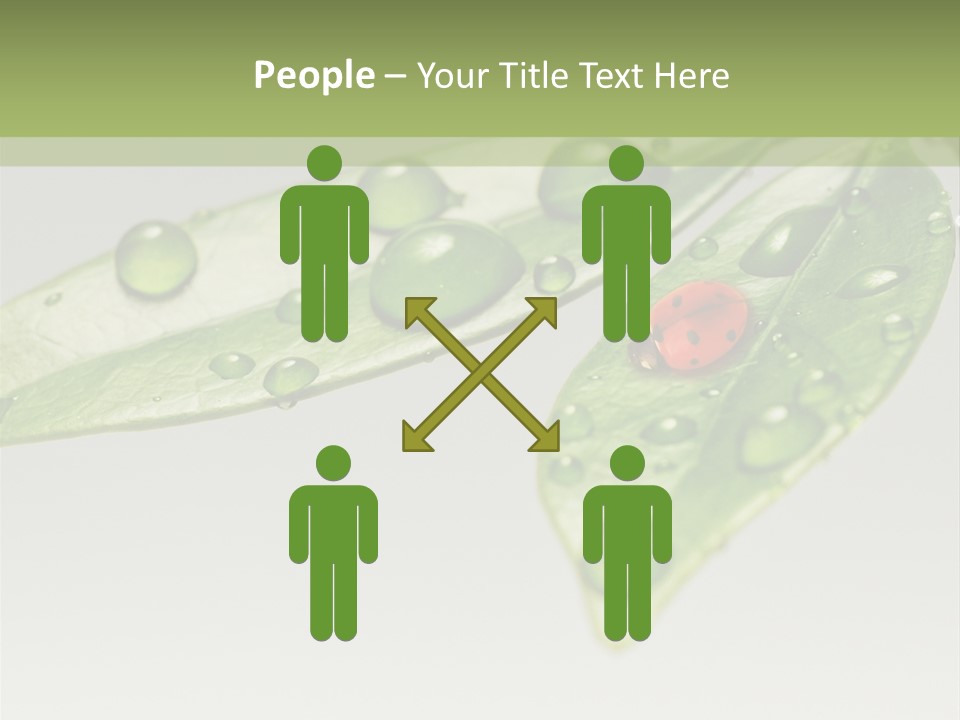 Drops Meadow Idyllic PowerPoint Template