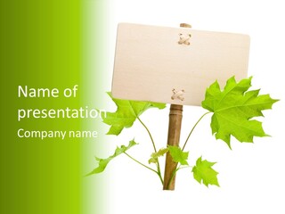 Design Environmental Bamboo PowerPoint Template