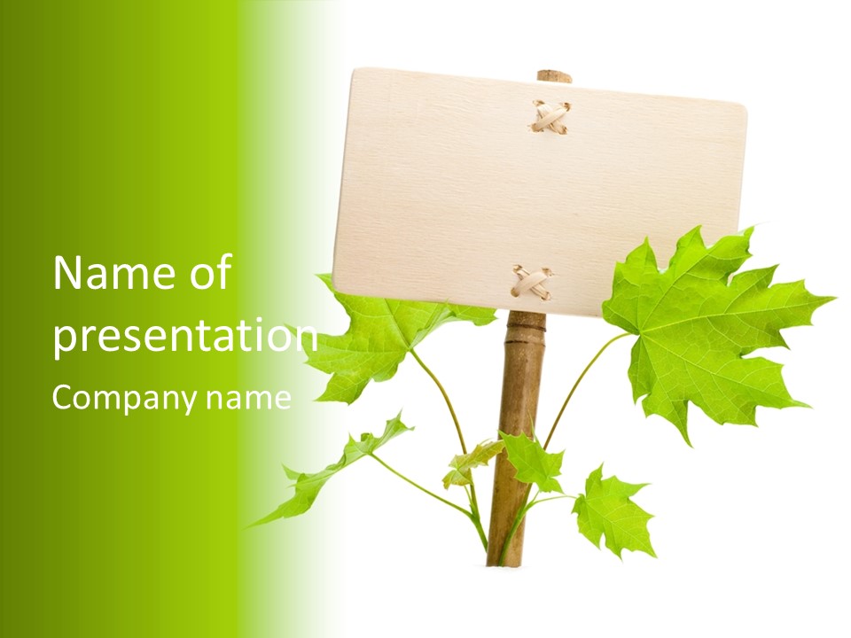 Design Environmental Bamboo PowerPoint Template